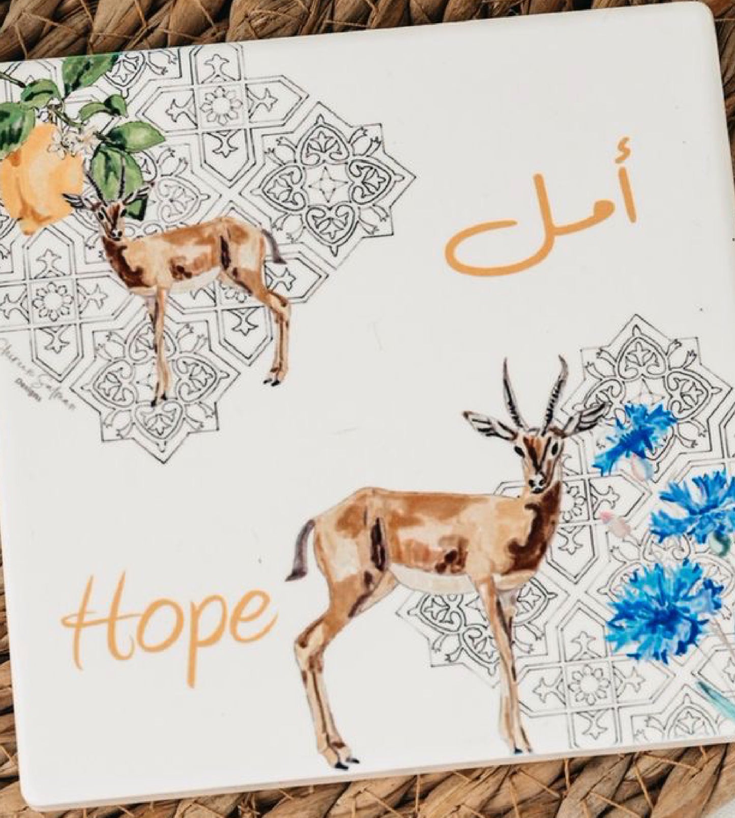 Hope Coaster