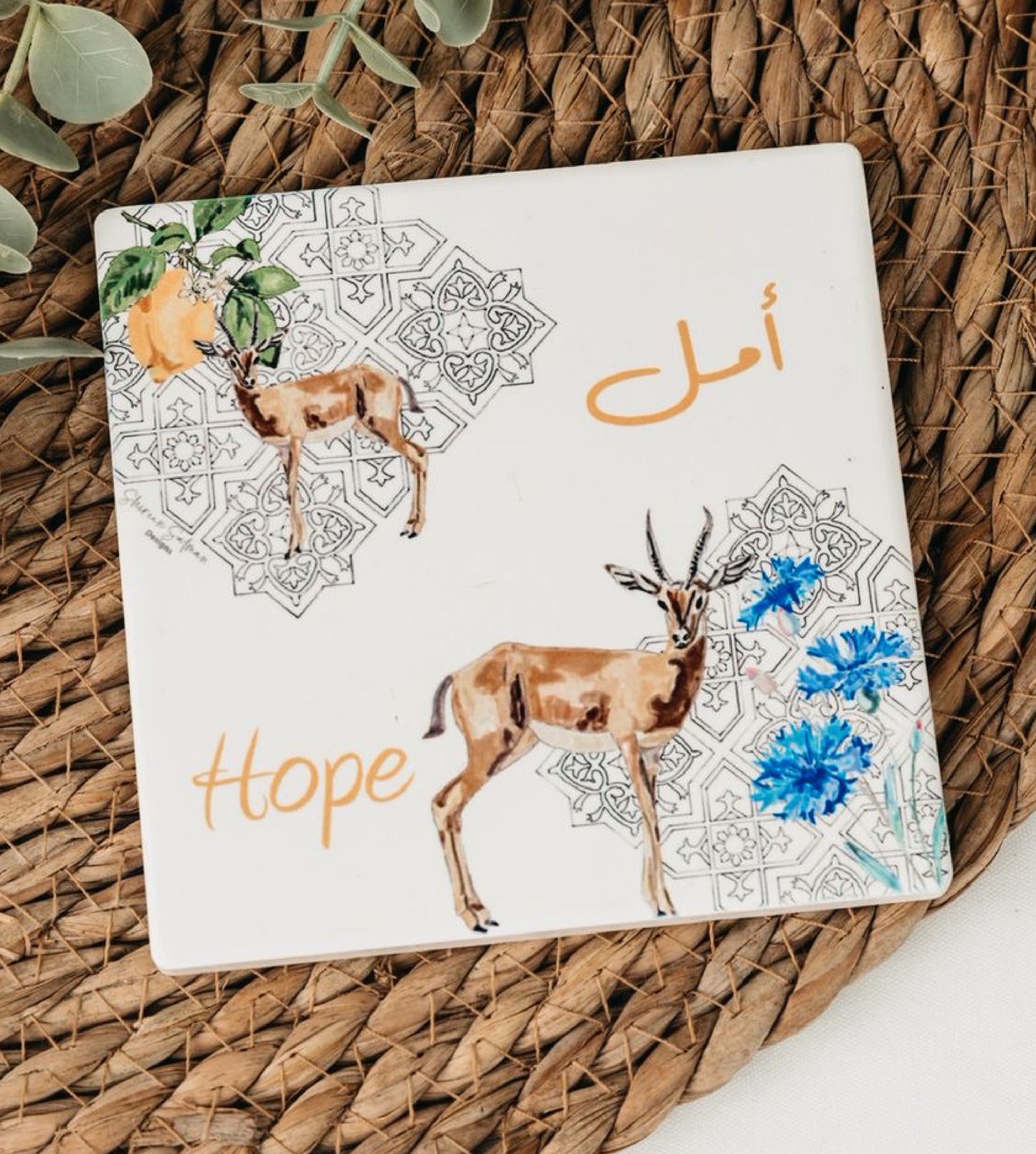 Hope Coaster
