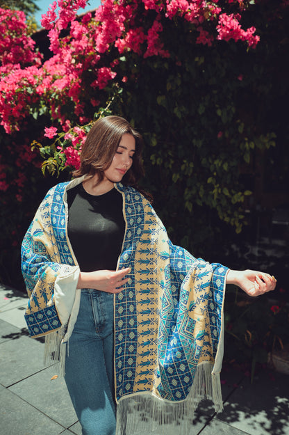 Hand-Embroidered Rectangular Shawl